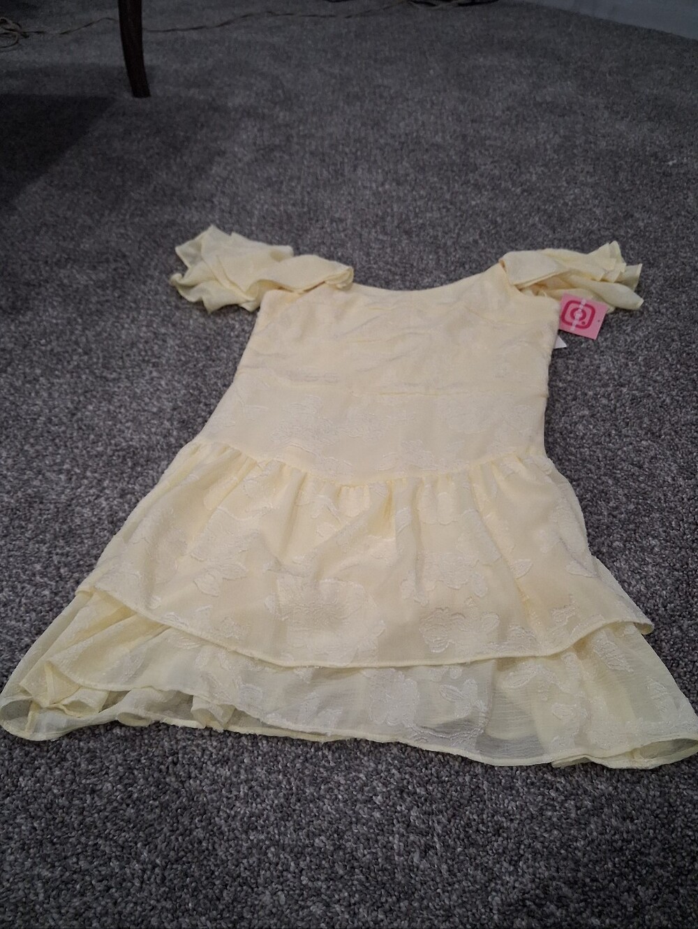 Rare Editions Burnout Chiffon Sweetheart Dress Size 16 NWT